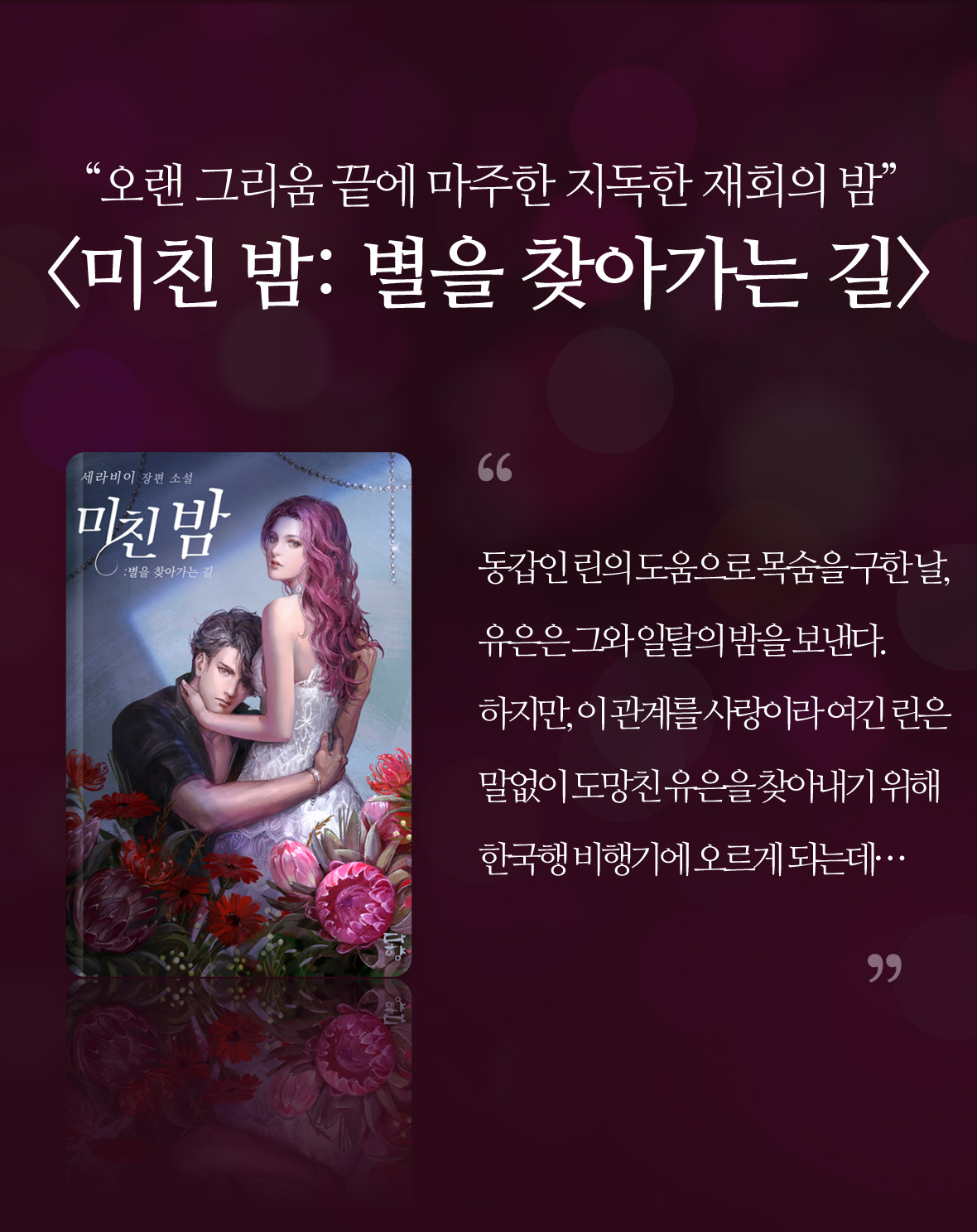 집착 TOP6_미친 밤: 별을 찾아가는 길이미지