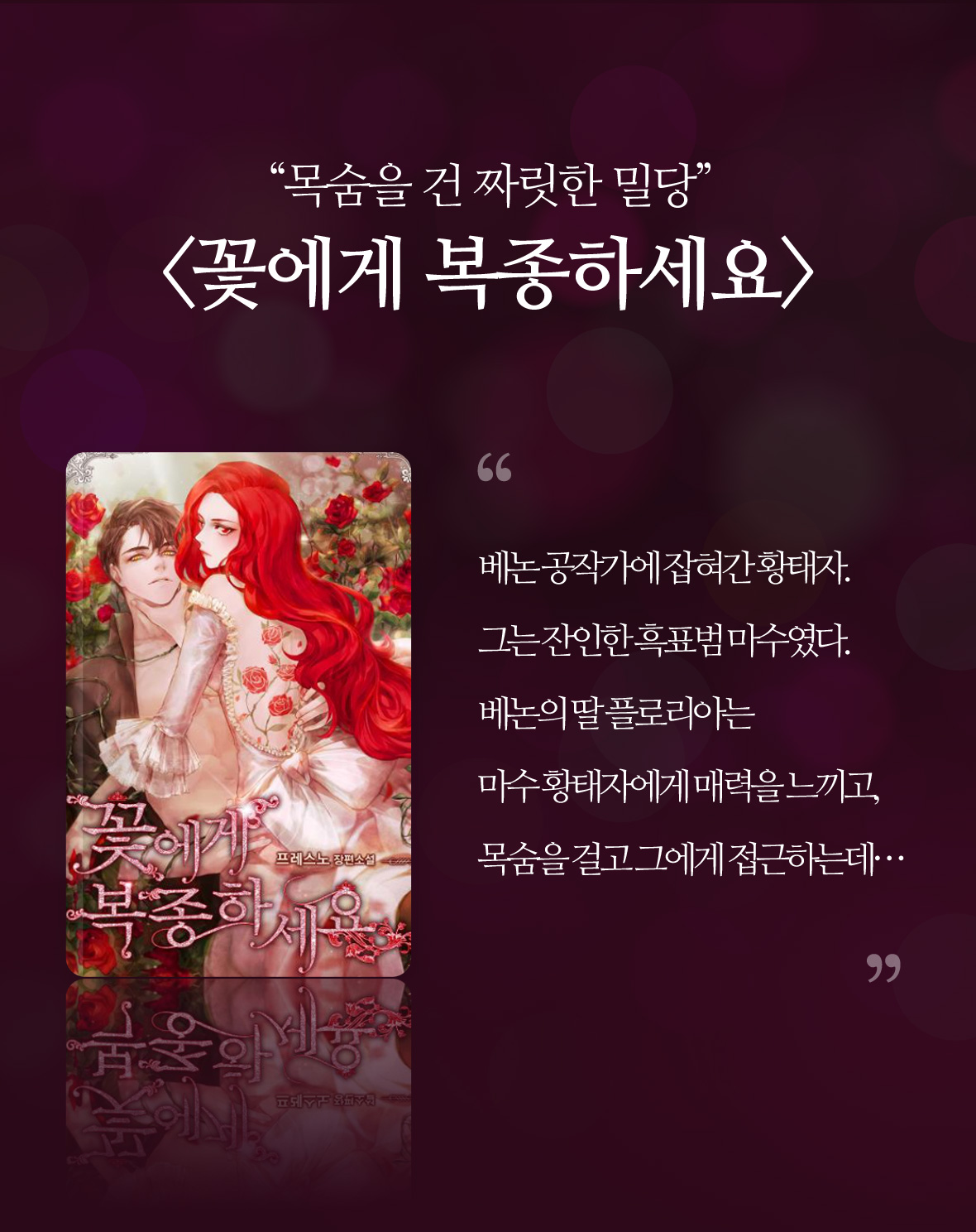집착 TOP6_꽃에게 복종하세요이미지