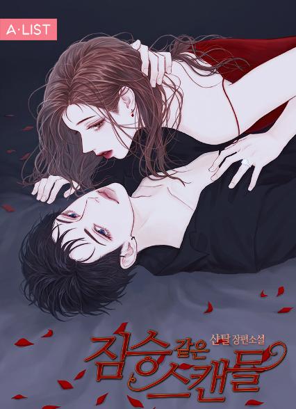 표지이미지