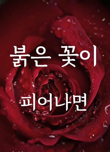 표지이미지