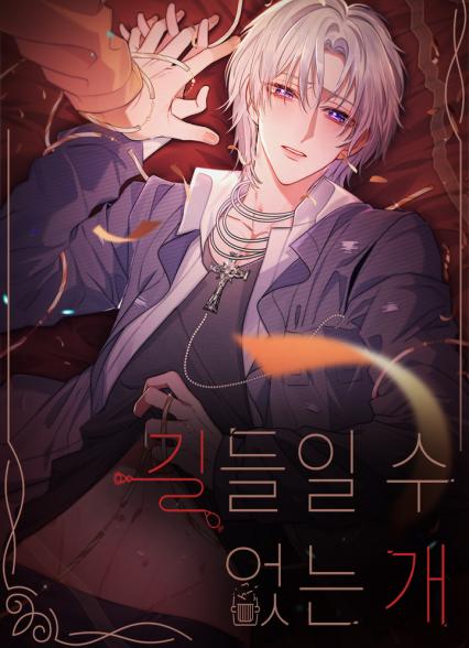 표지이미지