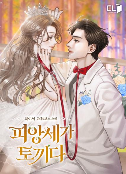 표지이미지