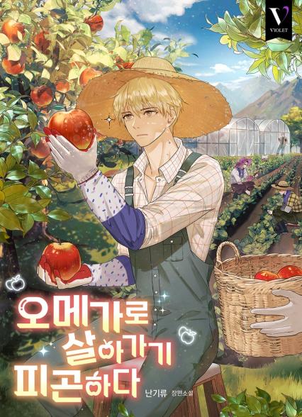 표지이미지