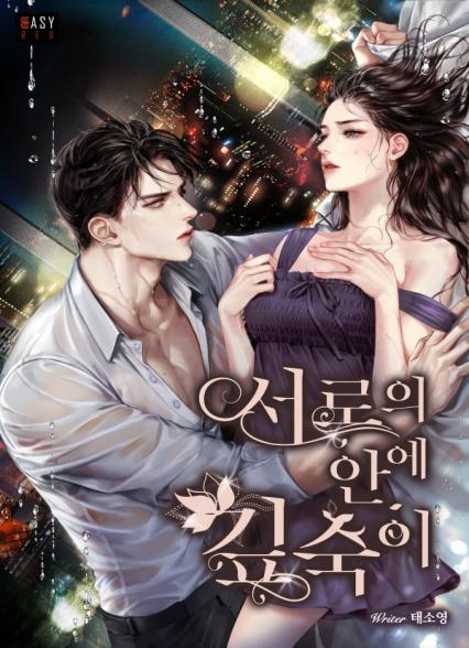 표지이미지