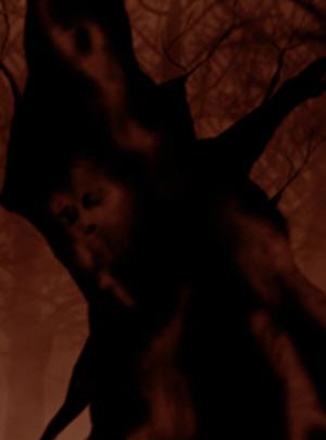 times Thumbnail