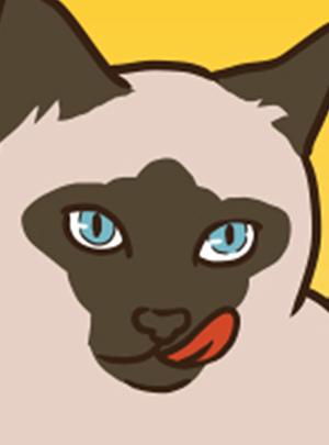 times Thumbnail
