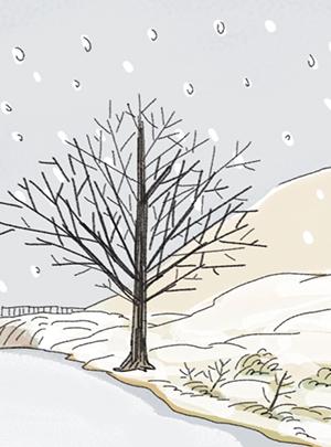 times Thumbnail